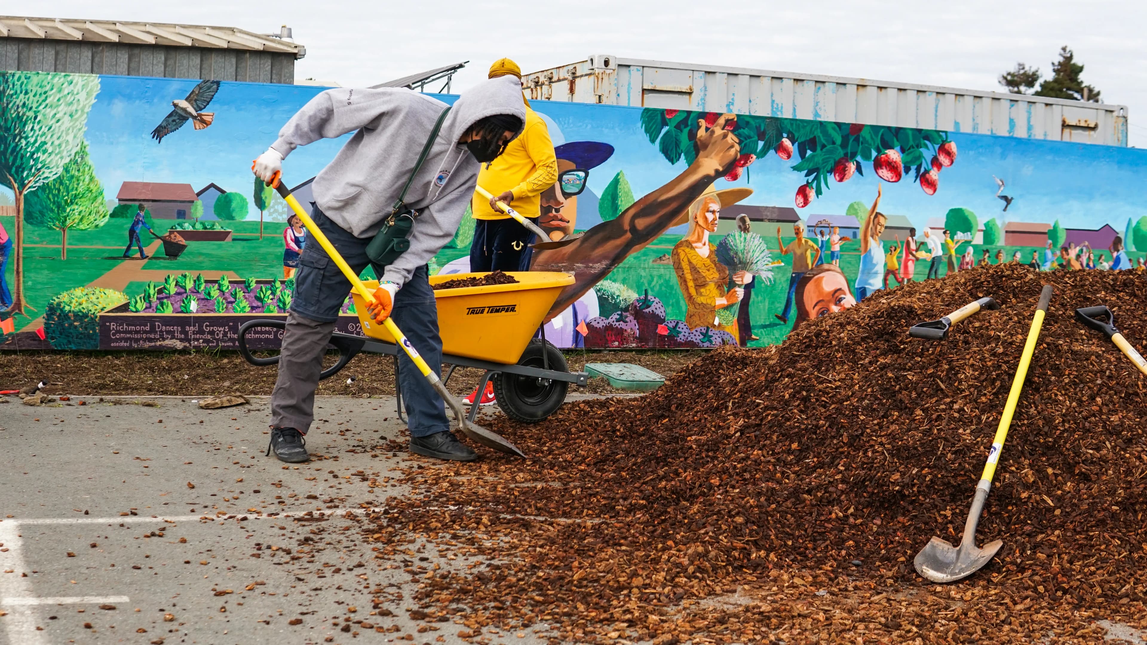 Conceptual Framework